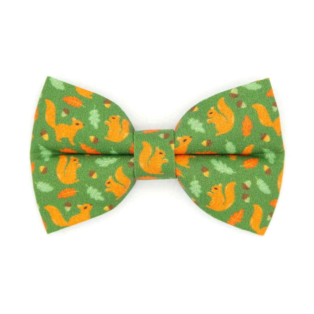Cat Bow Tie - "Squirrel Bounty" - Acorn Green Bow Tie for Cat / Fall, Nature Lover, Forest Animals / Cat   Small Dog Bowtie
