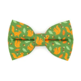 Cat Bow Tie - "Squirrel Bounty" - Acorn Green Bow Tie for Cat / Fall, Nature Lover, Forest Animals / Cat   Small Dog Bowtie