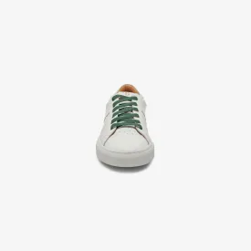 GREATS Premium Elastic Laces - Green