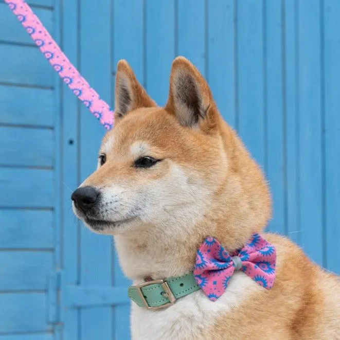 Nebula Dog Bow Tie