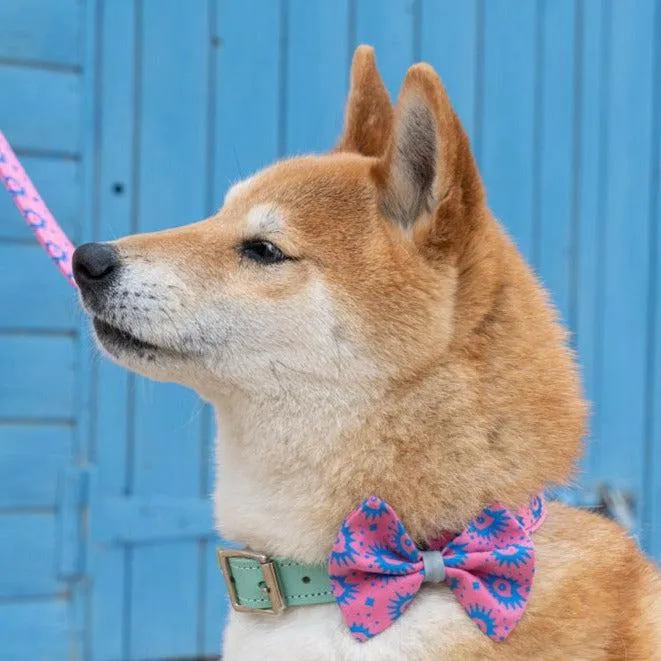 Nebula Dog Bow Tie