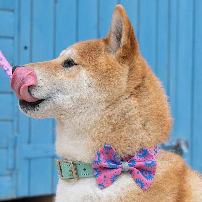 Nebula Dog Bow Tie